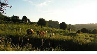 Beautiful walks around the valley - Cotswold Holiday accommodation