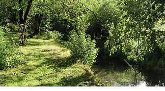 The River Frome flows through the garden - Cotswold Holiday accommodation